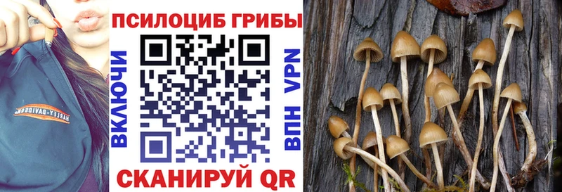 Галлюциногенные грибы мухоморы  цена   Солигалич 